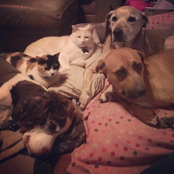 Currently on break from poshmark 🙄👍🏻 - Picture 8 of 8